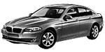 BMW F10 U102C Fault Code